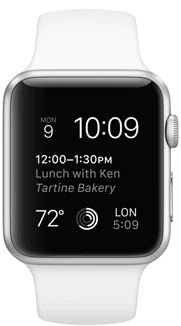 First Apple Watch