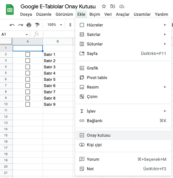 Google E tablolar Onay Kutusu Ekle
