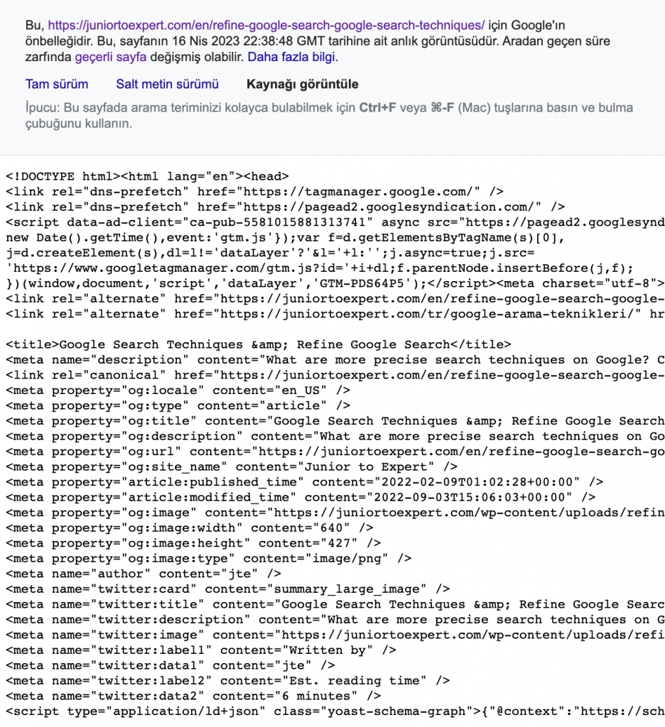 Google Önbelleği Kaynağı Görüntüle