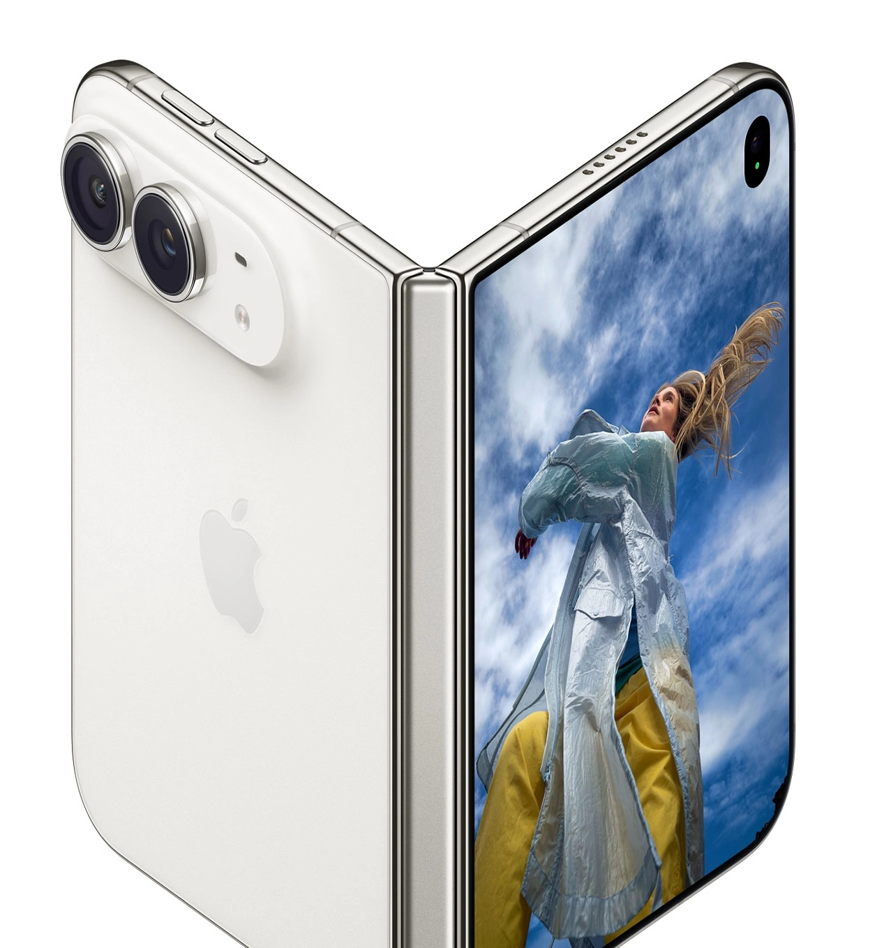 iPhone Duo Hinges