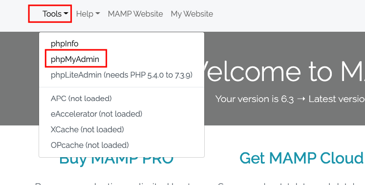 phpMyAdmin MAMP Localhost WordPress
