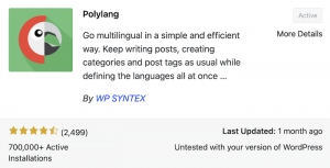 WordPress Polylang Plugin for Multilingual Website