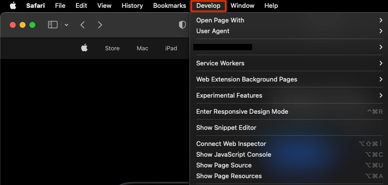 Safari Activated Develop Menu