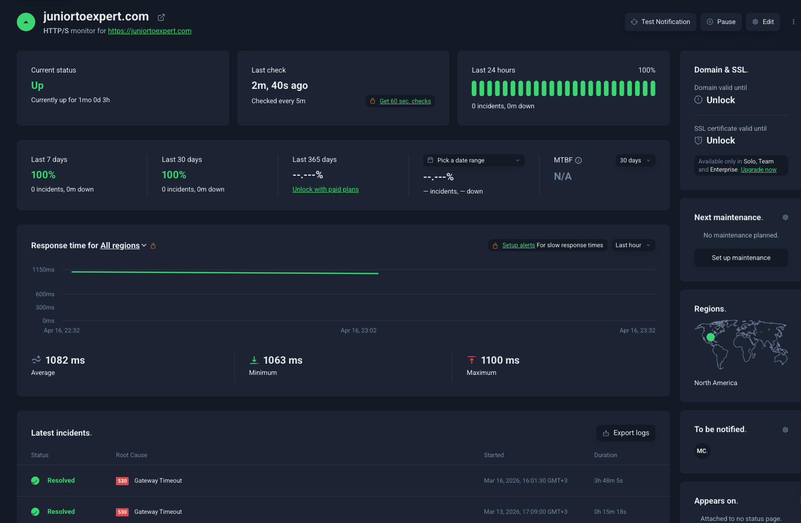 Uptime Robot Monitoring