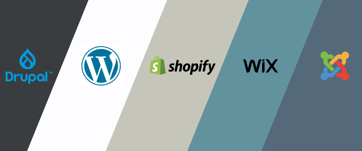 What is a Content Management System (CMS)?