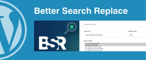 WordPress Better Search Replace Plugin