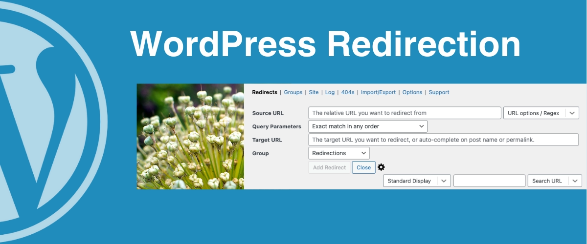 WordPress Redirection Plugin