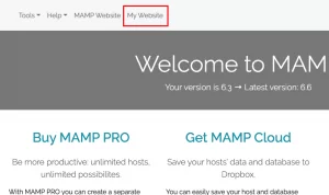 Wordpress Localhost Webstart